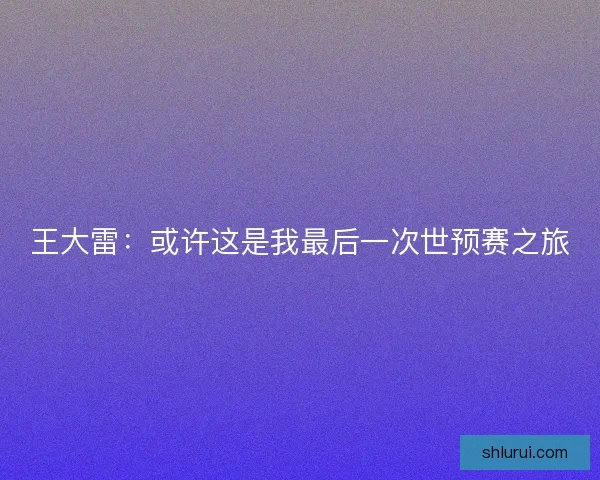王大雷：或许这是我最后一次世预赛之旅